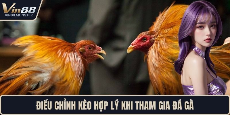 Điều chỉnh kèo hợp lý khi tham gia đá gà 